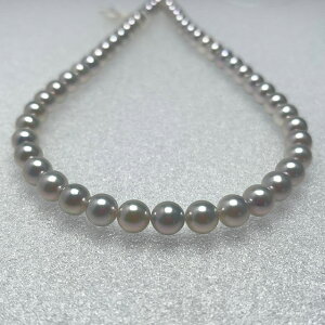 ^@I[Blue Rose@8.0`8.5mm@u[[lbNX@^Ȋwӕʏt@i`u[@p[lbNX@