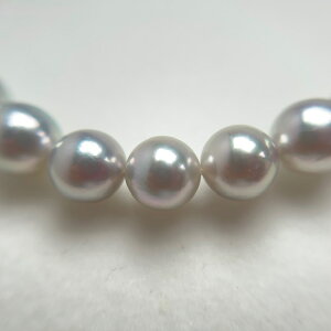 ^ 7.5mmTCYyI[ Blue Rose ^Ȋwӕʏtz u[[ lbNX 7.5`8.0 mm