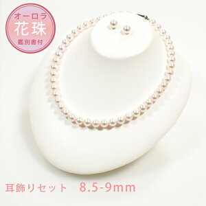 Ԏ^ SV I[ԎAR^ lbNXZbg P8.5-9.0mm 43cm