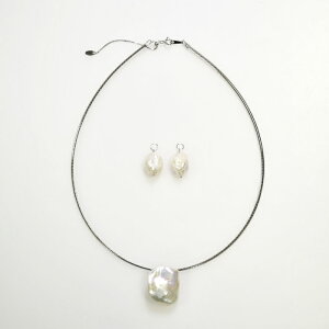 SV / Pt850 jW^ IKlbNX&`[ 2_Zbg (N) P 16.0mm 46cm (CM) P 12.0mm