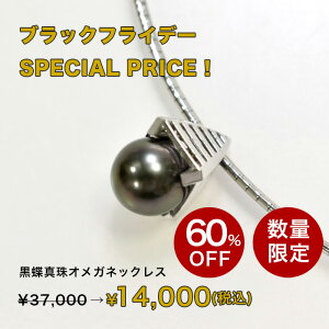 yBLACK FRIDAY ڋʏizSV ^ IKlbNX P 10.0mm 46cm