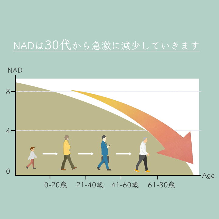 楽天市場】パールNMN36000 サプリ 高純度 1粒 300mg配合 日本製 真珠 