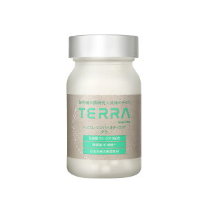 TERRA ���� ���� ���_�� �r�t�B�Y�X�� ���_�� 30���� �������� �T�v�� �T�v�������g �^�� ���N�H�i 90���ymadama-hada PEARLDAYs WSP�z