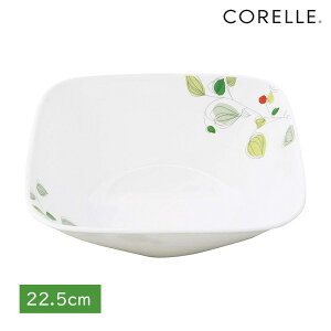 p[ R[ {E 蔫 M H ɂ  y dqW I[u H@Ή O[u[Y XNGA {E J2348-GB CP-9276