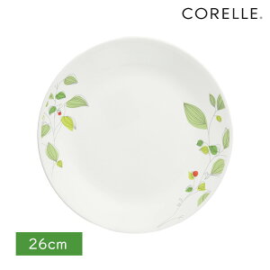 y111|Cg2{Iz p[ R[ M v[g M H ɂ  y dqW I[u H@Ή O[u[Y M J110-GB CP-9280