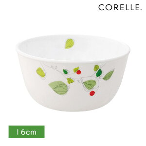 y11255̂Iz p[ R[ {E 蔫 M H ɂ  y dqW I[u H@Ή O[u[Y l{E  M [M J428-GB CP-