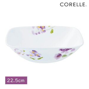 p[ R[ {E 蔫 M H ɂ  y dqW I[u H@Ή 唫 oCIbg~Xg XNGA{E XNGA{EJ2348-VM CP-9417