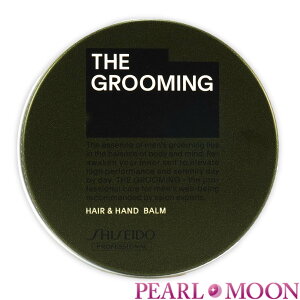 SHISEIDO  UEO[~O o[ qwAX^COEnhN[r35g