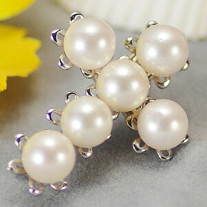 p[ u[`  W^ u[` 6.0-6.5mm Vo[ SV y_gp NX`[t  Ǝ w ̓ v[g tH[} JWAig