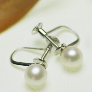 p[ CO  W^ 6.0mm Vo[ SV   V l   w ̓ tH[} p[eB[ JWA v[g Mtg