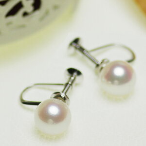 p[ CO AR^ ꗱ CO 8.0mm Vo[ SV NX}X Xmas v[g   {^ 嗱 Ԃ l Ǝ w ̓ JWA 6a 