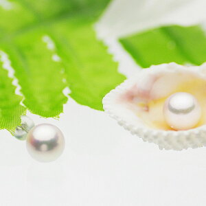 p[ sAX AR^ ꗱ X^bhsAX 8.0mm zCgS[h K14WG NX}X Xmas v[g   {^ 嗱 Ԃ l Ǝ w ̓ Mtg JWA