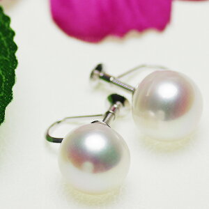 p[ CO W^ 11.0mm Vo[ SV {^  Ǝ w ̓ V  zCgf[ Mtg v[g AM[Ή 6aΐ^