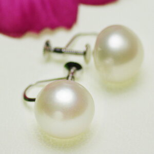 p[ CO  W^ 12.0mm Vo[ SV925 {^   Ǝ w ̓ JWA v[g Mtg