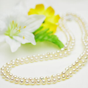 obNp[ O lbNX 7.5-8.0mm AR ^ p[  {^ Vo[ SV obN l Ǝ w ̓ v[g6a