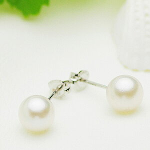 p[ sAX AR^ ꗱ X^bhsAX 6.5mm K14WG zCgS[h   w  ̓ v[g 6a {^@AM[Ή