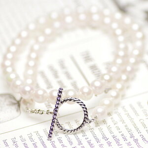 AR^ p[ lbNX Y 7.5-8.0mm 45cm JWA  Vo[ Vv j jp yAANZT[ gONXv