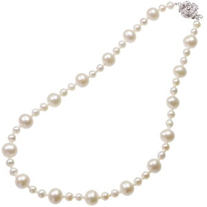  W^ fUClbNX 5.5-6mm 9.0-10mm 43cm   Mtg 蕨 tH[} p[eB[ JWA ig