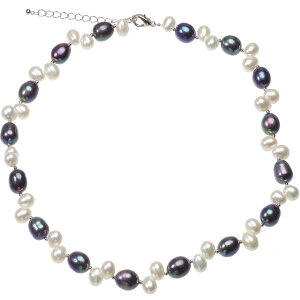  W^ NIpglbNX 9.0-9.5mm 6.5-7.0mm48cm( AWX^[ 5cm ܂ )   Mtg 蕨 tH[} p[eB[ JWA ig