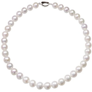  LjW^  lbNX 10.5-13.0mm V`E   V v[g p[eB[ JWA ig 嗱 Ԃ