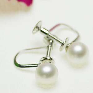 p[ CO  W^ ꗱ CO 6.5mm Vo[ SV   {^ JWA 6a AM[Ή