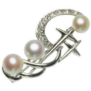 p[ u[`  W^ 6.5-7.5mm Vo[ SV {^ {^ u[`   l Ǝ w ̓ v[g ^ JWA 6a Mtg