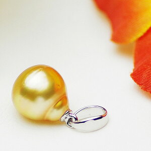 m ^ p[ y_g 10.0mm Vo[ SV S[h Z~Eh`hbv yNX}X v[gzy6aΐ^zyfB[X  ʔ́z