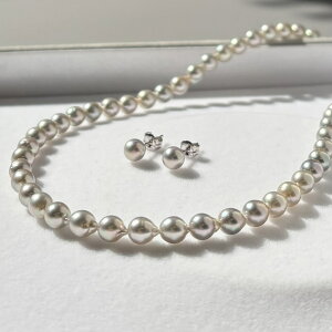 ʌ AR^ xr[p[lbNXZbg sAX CO 5-5.5mm obN^ i`O[ O[p[lbNX F Vo[ ۏ؏ p[NXt {^ 