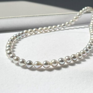 AR^ xr[p[ obNp[lbNX 5.5-6mm i`O[ F SV ۏ؏ {^ obNp[ xr[p[lbNX obN O[p[ tH[} JW