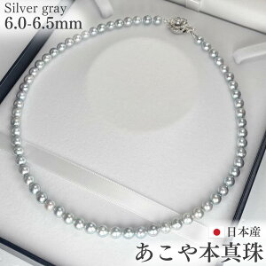 ^ Vo[O[ p[lbNX Rog 6-6.5mmEh`Z~Eh Vo[750 42cm ۏ؏t {^ AR^ ^lbNX lbNX O[ 