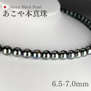 ēׁAR^ ubNp[lbNX(u[,O[n) 6.5-7mm Eh`Z~Eh 42cm Vo[ GIAΊӒmۏ؏t {^ p[ ^ ^ ubNp[