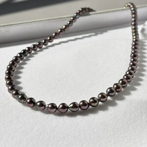 AR^ ubNp[lbNX 5-5.5mm Z~Eh obN SV 42cm ۏ؏t {^ ^ ^ ubNp[ ^lbNX ^ tH[} JWA  u