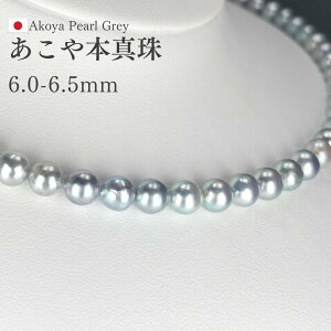 ^ Vo[O[ p[lbNX Rog 6-6.5mmEh`Z~Eh Vo[750 42cm ۏ؏t {^ AR^ ^lbNX lbNX O[ 