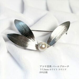 AR^ p[u[` 7-7.5mm zCg Eh Vo[ I[u [t t {^ ^ u[` u[` tH[} JWA w  Ǝ  