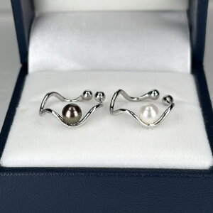 ē AR^ p[C[Jt 4.5-5mm zCg ubN Vo[ SV925 {^ ^ xr[p[ Ў jZbNX jp Vo[ v[g p[ C[Jt JWA