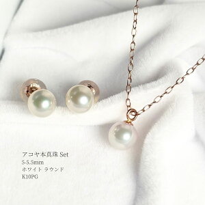 AR^ ꗱy_gZbg sAX zCg Eh K10PG 45cm AYL`F[ XChAWX^[ {^ 10 tH[} JWA ItBX 