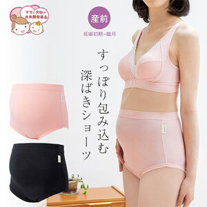 【犬印本舗 マタニティ ショーツ】【3点までメール便可】マタニティ対応♪ママと赤ちゃんをすっぽり包み込む深ばきショーツ SH2539【レビュークーポンお値引対象外】
