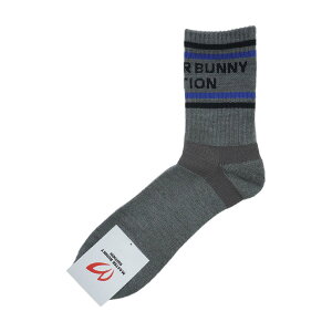 }X^[oj[GfBV@MASTER BUNNY EDITION@T[V[g\bNX