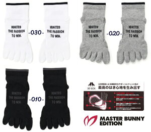yNEWz}X^[oj[byp[[QCcMASTER BUNNY EDITION y̍\3DzfB[X5{wAN\bNXRۖhL=MADE IN JAPAN= 758-5286002/25CyKiz