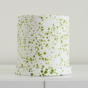 y1 24Ԍ N[|10%OFFzyŋzzt[|bg  Aؔ v^[ A  킢 ϗtA K[fG K[fjOG