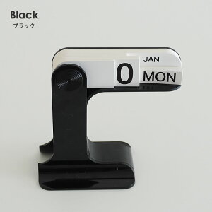 yŋzzJ_[ NJ_[ 2024   Vv k ؍CeA