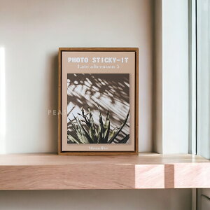 ySS 100l20%N[|zyzyŋzzi|X^[ t[t |X^[ k 30×40cm A[gpl iF  kCeA ؍CeA