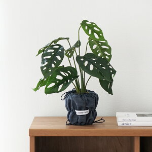 yŋzztFCNO[ ϗtA Xe xSjA lHϗtA  CeA  k ؍CeA 40cm  O[ CeA A