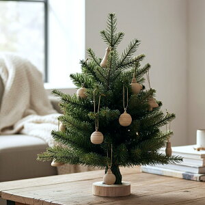 yŋzzNX}X I[ig ؐ 12Zbg k ؍CeA ~jc[  i` Vv c[  t  킢 fR[V