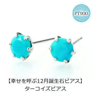 lC a sAX ^[RCYsAX PT900 X^bhsAX 12 fB[X Y  j v[g ꗱ sAX 4mm Vv v`i sX ҂ ւ̂J