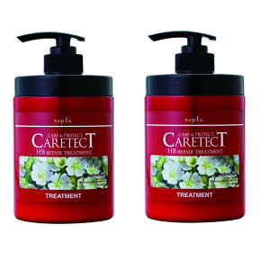 iv PAeNgHB yAg[gg 650g ×2_Zbg