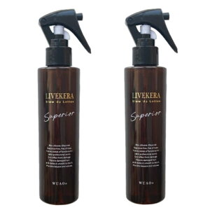 EAI@CuP@u[Abv[VSP 200mly×2_Zbgz