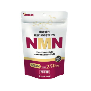 yNbN|Xgőz R{ NMN 60