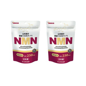 yNbN|Xgőz R{ NMN 60@y×2_Zbgz