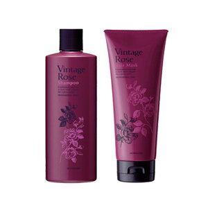 pVtBbNv_Nc@i_ Be[W[Y Vv[ (300ml)wA}XN (210g)Zbg